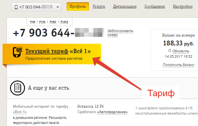 Иллюстрация: Безлимитный интернет Билайн на телефон — [Тариф Анлим] 2022
