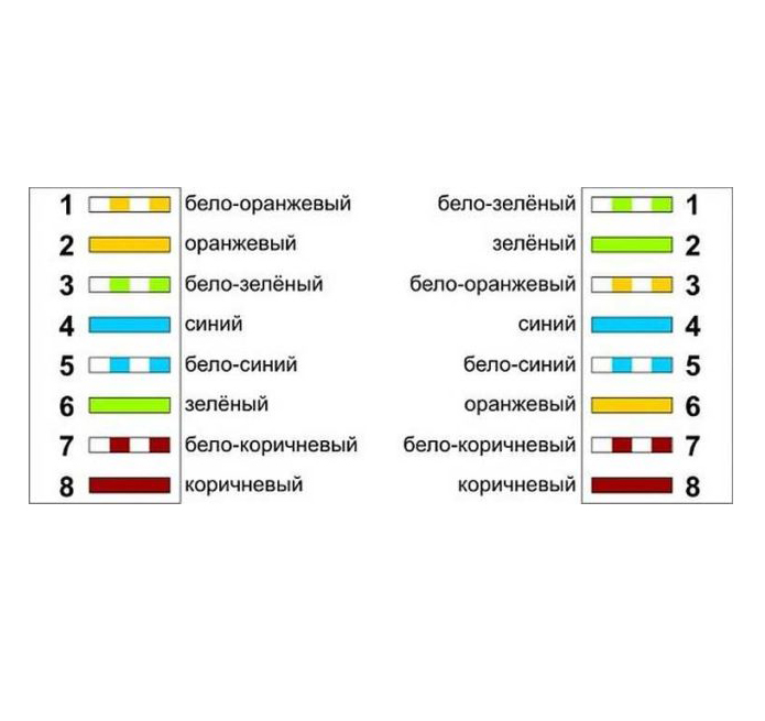 Иллюстрация: Обжим витой пары 8 и 4 жилы: схемы обжимки + пошаговая инструкция