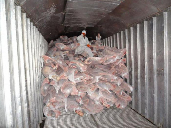 Какие продукты скоропортящиеся' '='