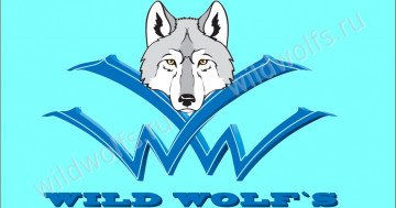 Иллюстрация: О КЛУБЕ WILD WOLFs