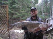 IMG_1855 Иллюстрация: ГЛАВНАЯ СТРАНИЦА ПОРТАЛА WILD WOLF`S