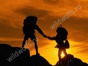 image_12.jpg Иллюстрация: ГЛАВНАЯ СТРАНИЦА ПОРТАЛА WILD WOLF`S
