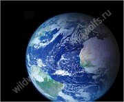 novostimira.jpg Иллюстрация: ГЛАВНАЯ СТРАНИЦА ПОРТАЛА WILD WOLF`S